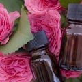 春の肌トラブル対策は、保湿、バラの香り、食べるアロエで！