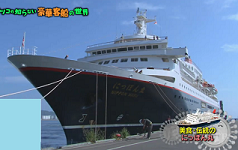 cruisematsuko18.png