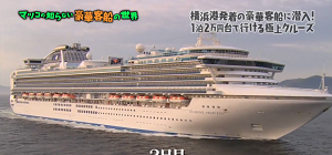 cruisematsuko2.png